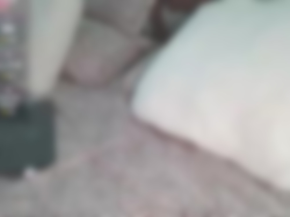 фото 0097983.jpg