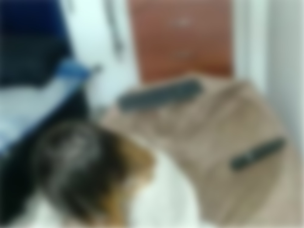 фото 0127995.jpg