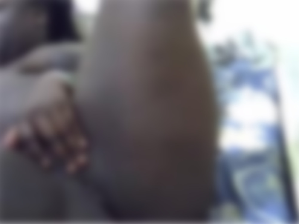 фото 0128029.jpg