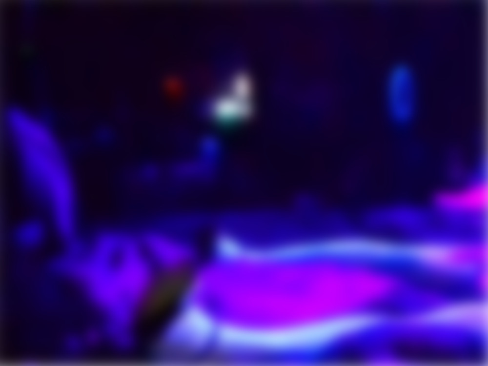 фото 0138590.jpg