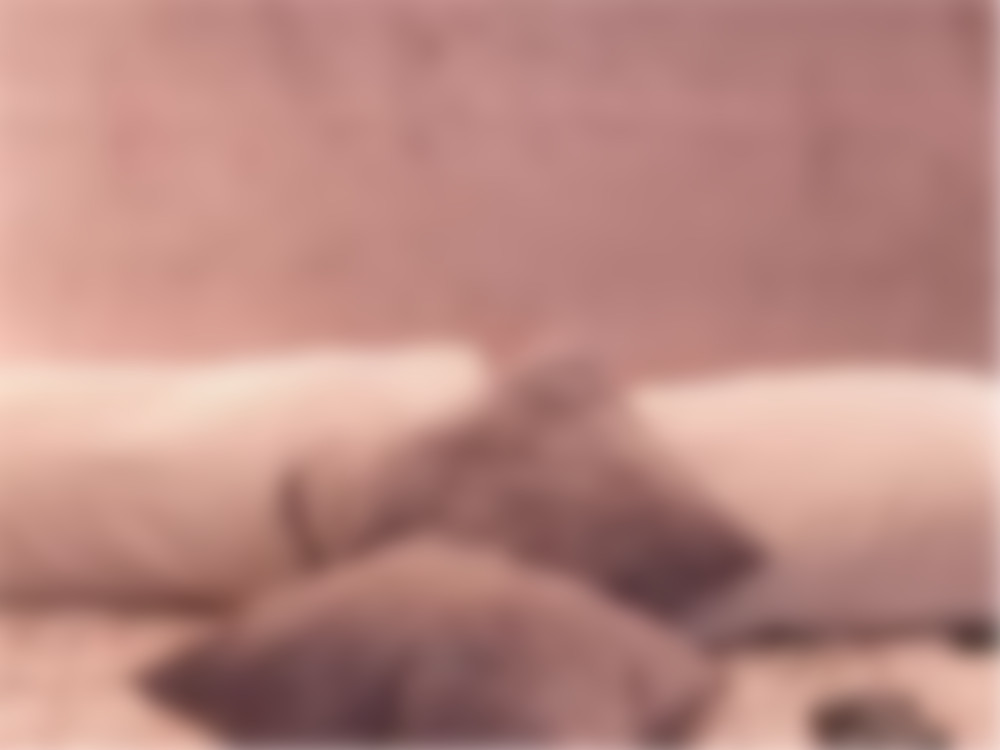 фото 0144105.jpg