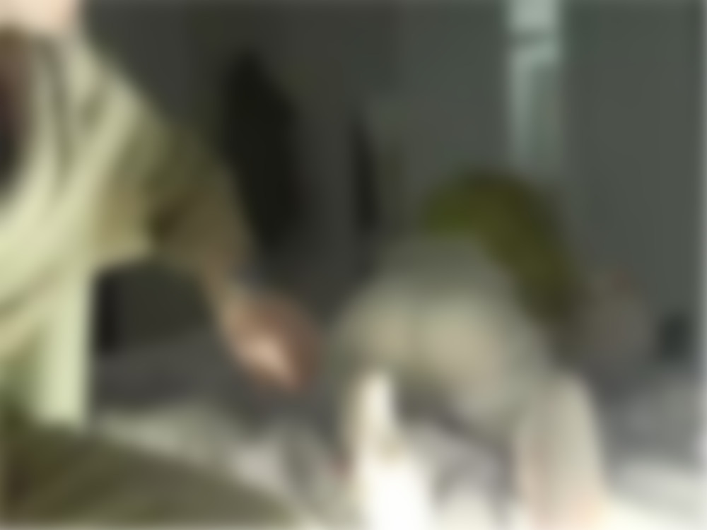 фото 0144190.jpg