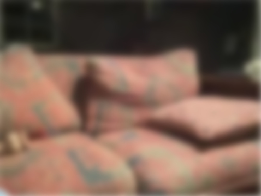 фото 0146242.jpg